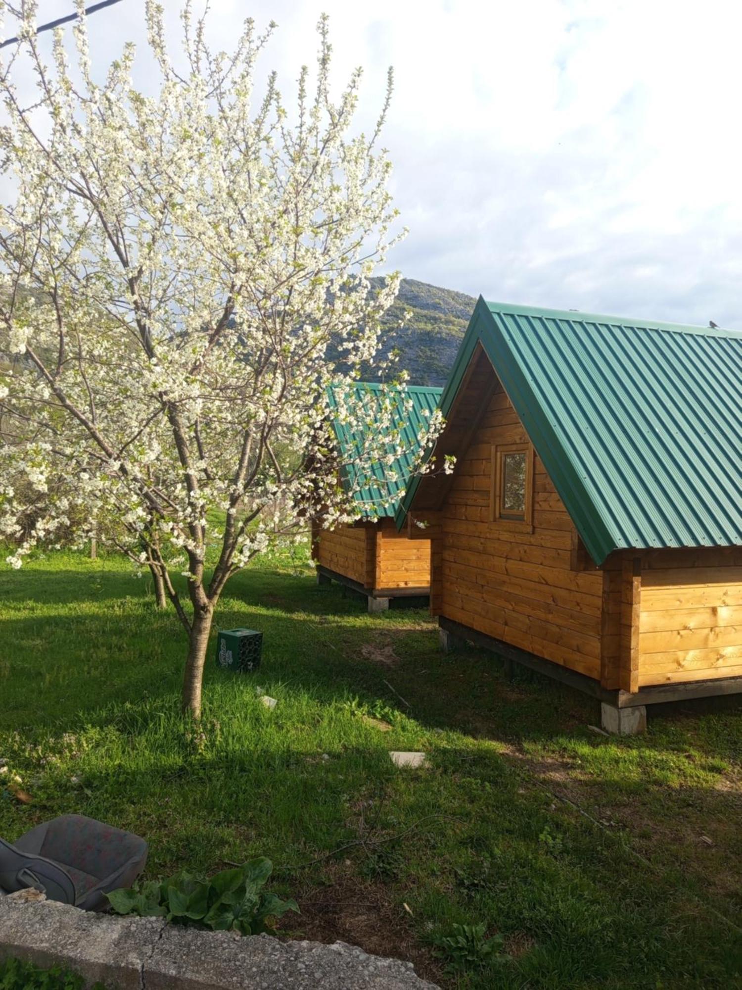 Кемпинг Camp River Вирпазар
