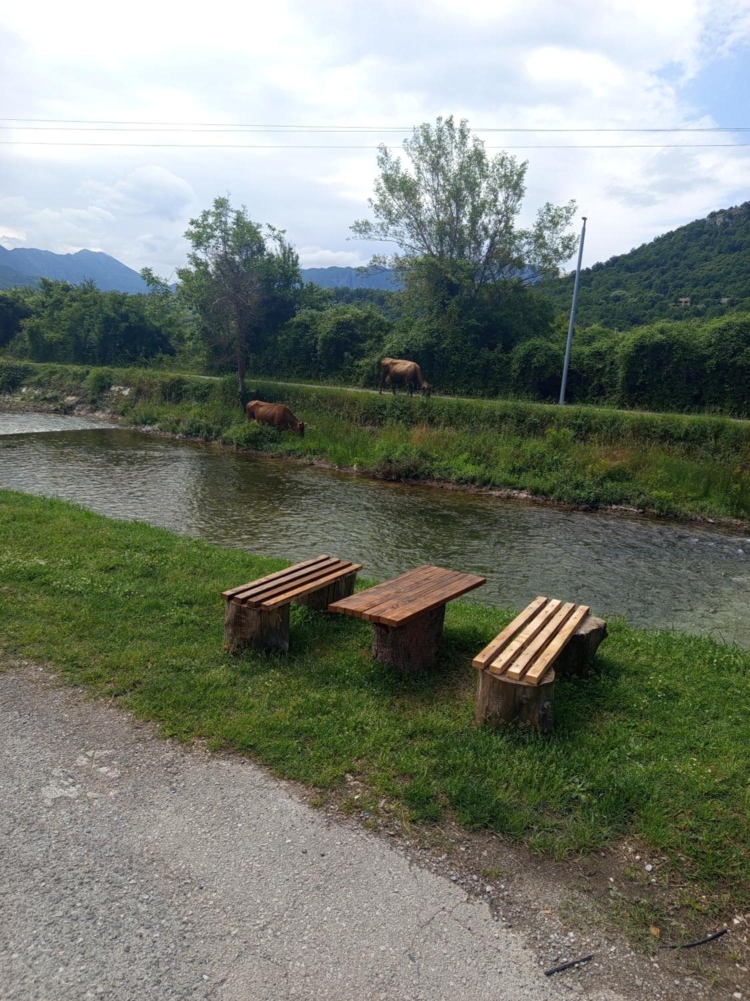 Camp River Вирпазар